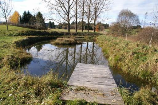 Alleinlage mit See - See , Teich. Angelteich, Fischgewässer kaufen und
